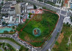 项目总投资估计不跨越8