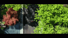 <b>室第功能齐备的景别墅</b>
